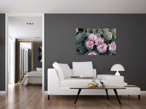 Obraz kvet kaktusu (90x60 cm)