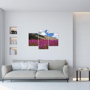 Obraz scenérie horské lúky (90x60 cm)