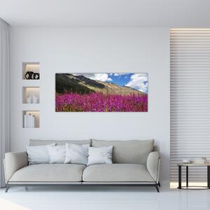 Obraz scenérie horské lúky (120x50 cm)