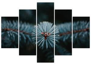 Obraz vetvičky ihličnatého stromu (150x105 cm)