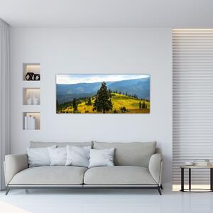 Obraz - Horská lúka (120x50 cm)