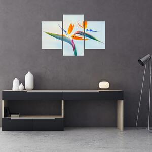 Obraz kvetu Strelícia (90x60 cm)