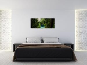 Obraz - Priezor medzi stromami (120x50 cm)