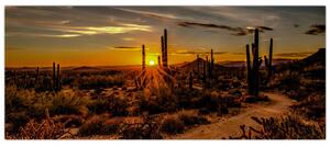 Obraz - Koniec dňa v arizonskej púšti (120x50 cm)