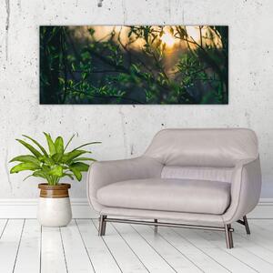 Obraz presvitajúceho slnka cez vetvičky stromov (120x50 cm)