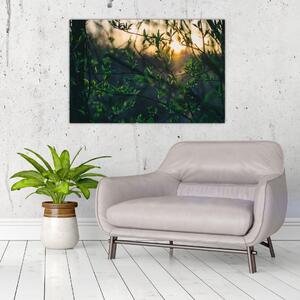 Obraz presvitajúceho slnka cez vetvičky stromov (90x60 cm)