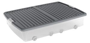 Plastový úložný box pod posteľ s vekom 79x58x16, 5 cm W box underbed XL – KIS