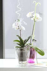 Prosperplast Kvetináč COUBI ORCHID vysoký biely transp. 16 cm
