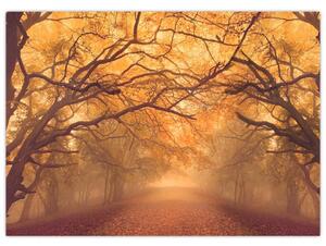 Obraz cesty v jesennej krajine (70x50 cm)