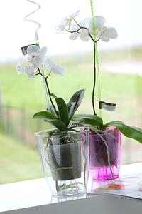 Prosperplast Kvetináč COUBI ORCHID vysoký fialový transp. 16 cm