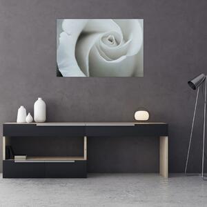Obraz - Biela ruža (90x60 cm)