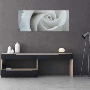 Obraz - Biela ruža (120x50 cm)