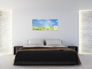 Obraz rozkvitnutej lúky s margarétkami (120x50 cm)