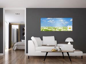 Obraz rozkvitnutej lúky s margarétkami (120x50 cm)