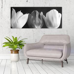 Obraz - Čiernobiele kvety tulipánov (120x50 cm)