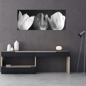 Obraz - Čiernobiele kvety tulipánov (120x50 cm)