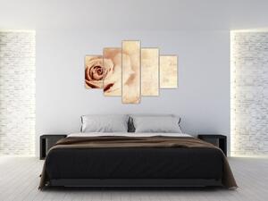Obraz - Kvet ruže pre zaľúbených (150x105 cm)