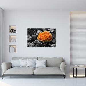 Obraz kvetu (90x60 cm)