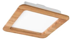 LED Podhľadové svietidlo WOODY SPOT LED/17W/230V 3000K dub 18,5x18,5 cm