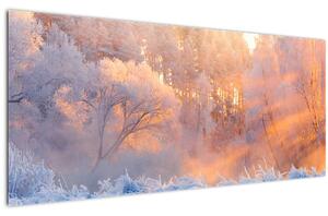 Obraz - Mrazivé svitanie (120x50 cm)