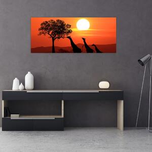 Obraz žirafy pri západe slnka (120x50 cm)