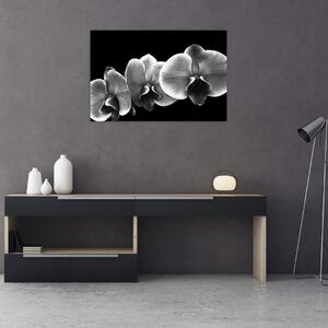 Obraz kvetu orchidey (90x60 cm)