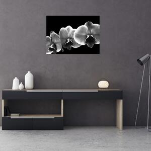 Obraz kvetu orchidey (70x50 cm)