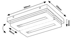Rabalux 75020 - LED Kúpeľňové stropné svietidlo BLAS LED/24W/230V 4000K