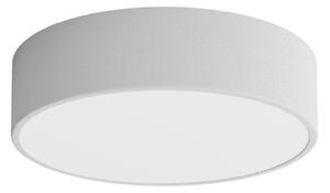 LED Stropné svietidlo CLEO LED/24W/230V 4000K pr. 30 cm šedá
