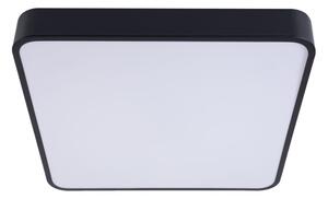 LED Stropné svietidlo FELIZ LED/50W/230V 4000K 40x60 cm čierna