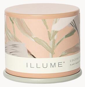Vonná sviečka Vanity Tin (Coconut, Mango & Tahitian Vanilla)