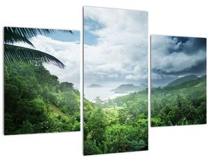 Obraz - Seychelská jungle (90x60 cm)
