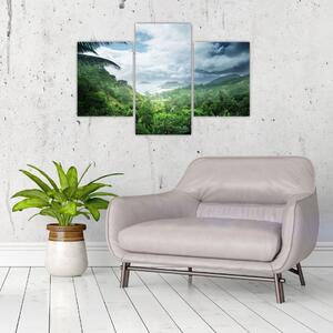 Obraz - Seychelská jungle (90x60 cm)