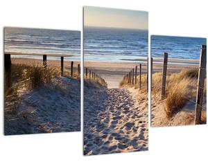Obraz - Cesta k pláži Severného mora, Holandsko (90x60 cm)