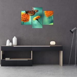Obraz motýľa (90x60 cm)