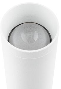 Argon 7223 - LED Nástenné svietidlo GRECO 2xLED/4,2W/230V 3000K biela