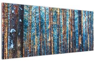 Obraz - Zimný les (120x50 cm)