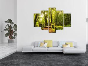 Obraz machové džungle (150x105 cm)