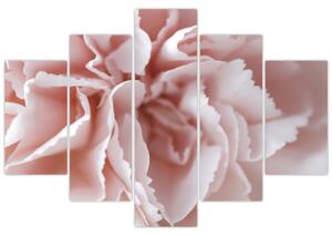Obraz - Detail kvetu (150x105 cm)