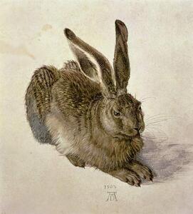 Albrecht Dürer - Obrazová reprodukcia Hare, 1502, (35 x 40 cm)