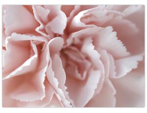 Obraz - Detail kvetu (70x50 cm)