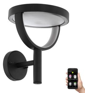 Eglo 98234 - Vonkajšie nástenné LED svietidlo FRANCARI-C, 15 W, 230 V, IP44