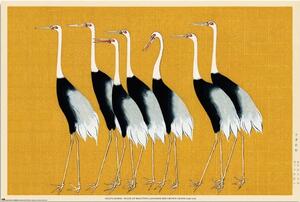 Plagát, Obraz - Ogata Korin - Flock of Beatiful Japanese Red Crown Crane