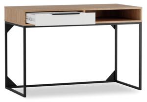 Písací stôl ANDRO, 120x80x60, hikora/biely mat