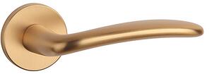 Dverové kovanie MP Ambrosia - R 7S (MOSADZ BRÚSENA), kľučka-kľučka, Otvor na cylindrickú vložku PZ, MP OLS (mosadz brúsená a lakovaná)