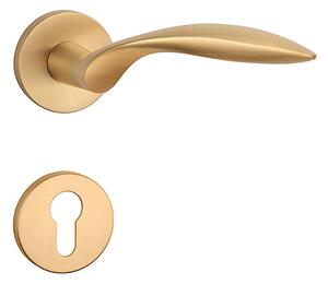 Dverové kovanie MP Gerbera- R 7S (OLS - Mosadz brúsená), kľučka-kľučka, Otvor pre obyčajný kľúč BB, MP OLS (mosadz brúsená a lakovaná)