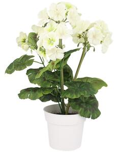 HKA Kakosty v kvetináči bielej 30 cm