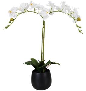 HKA Umelá Orchidea v čiernom kvetináči - biela