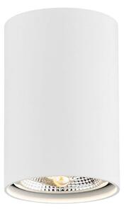 Argon 4910 - Bodové svietidlo TUBO AR111 1xGU10/15W/230V biela