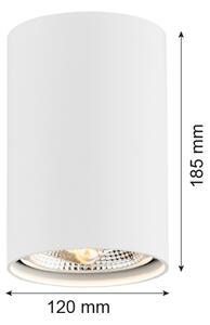 Argon 4910 - Bodové svietidlo TUBO AR111 1xGU10/15W/230V biela